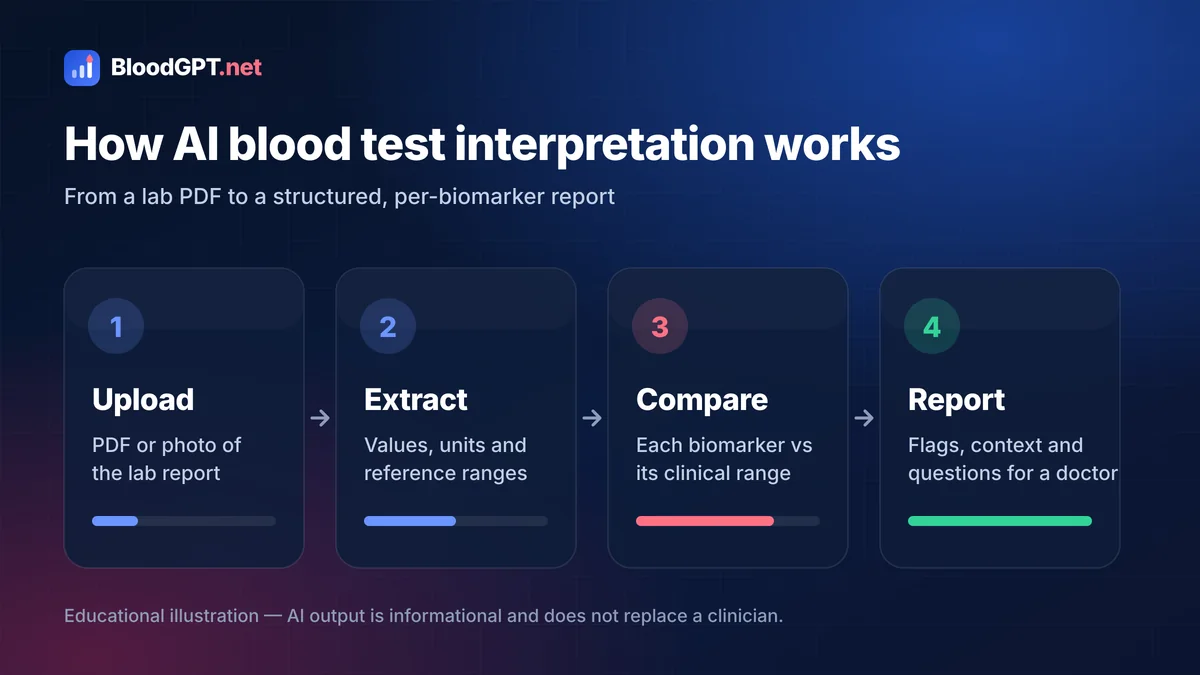 How AI blood test interpretation works: upload, extraction, reference ranges, structured report