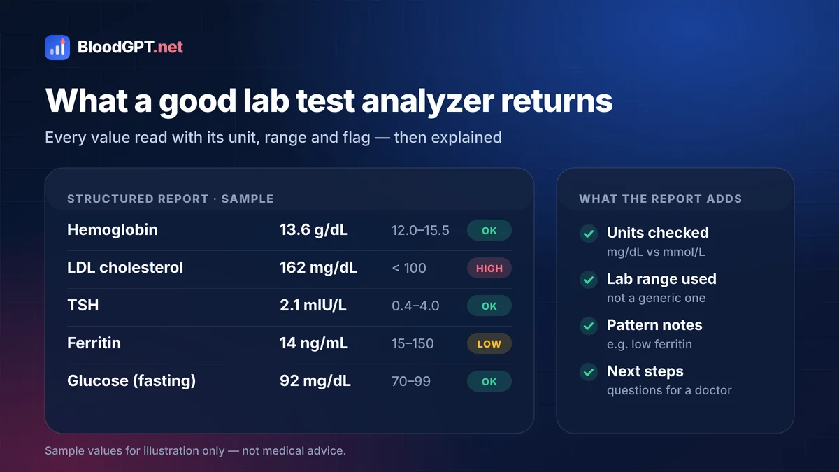 Lab test analyzer output: structured per-biomarker report with reference ranges and flags